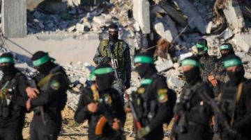 حرب غزة.. تفاصيل رد حماس على خطة ترامب للسلام