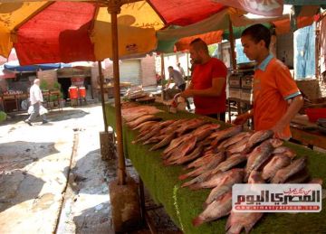 بعد تحريك أسعار السولار والبنزين.. سعر الأسماك والمأكولات البحرية بسوق العبور اليوم بعد تحريك أسعار السولار والبنزين.. سعر الأسماك والمأكولات البحرية بسوق العبور اليوم