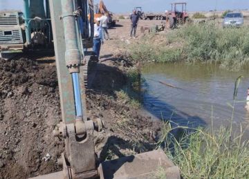 إزالة 14 فدان مزارع سمكية مخالفة على أرض زراعية ببورسعيد