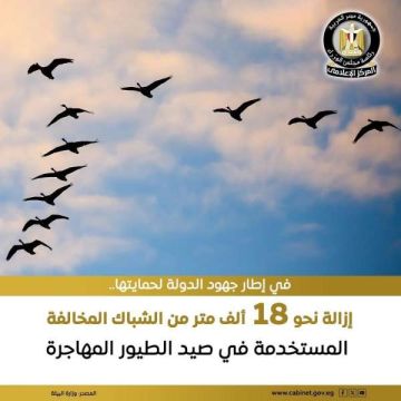 البيئة تنجح في إزالة نحو 18 ألف متر من الشباك المخالفة المستخدمة في صيد الطيور المهاجرة البيئة تنجح في إزالة نحو 18 ألف متر من الشباك المخالفة المستخدمة في صيد الطيور المهاجرة
