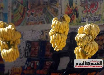  الموز بـ40 جنيها .. أسعار الفاكهة في أسواق الإسكندرية اليوم الثلاثاء 14 أكتوبر 2025