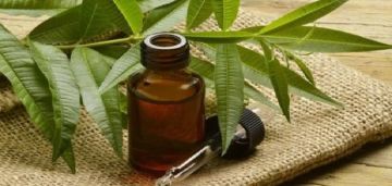 فوائد زيت شجرة الشاي.. يعالج 5 مشاكل صحية