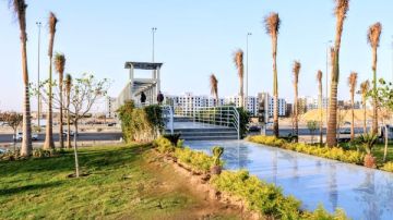 كوبري الحياة أمام بوابة مدينتي.. إشادة بجهود طلعت مصطفى في حماية أرواح السكان والعاملين كوبري الحياة أمام بوابة مدينتي.. إشادة بجهود طلعت مصطفى في حماية أرواح السكان والعاملين