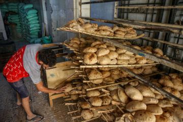 وزير التموين: لا مساس بسعر رغيف الخبز البلدي المدعم بعد تحريك أسعار السولار وزير التموين: لا مساس بسعر رغيف الخبز البلدي المدعم بعد تحريك أسعار السولار