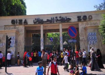 بعد تطويرها.. موعد افتتاح حديقة الحيوان في الجيزة وخطة تجديدها وربطها بالأورمان