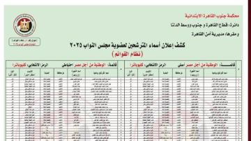 ننشر أسماء القائمة الوطنية من أجل مصر المرشحة بدائرة قطاع القاهرة وجنوب ووسط الدلتا ننشر أسماء القائمة الوطنية من أجل مصر المرشحة بدائرة قطاع القاهرة وجنوب ووسط الدلتا