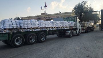 همام مجاهد: دخول 400 شاحنة مساعدات إلى غزة لأول مرة همام مجاهد: دخول 400 شاحنة مساعدات إلى غزة لأول مرة