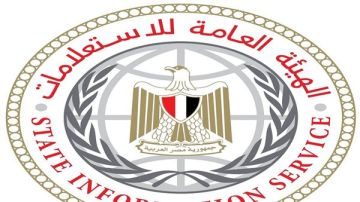 هيئة الاستعلامات: مصر تواصل دورها الريادي في أفريقيا رغم التطورات في المنطقة