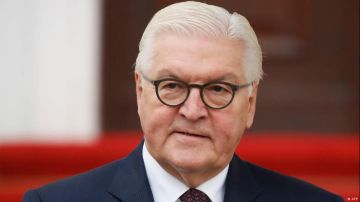 الرئيس الألماني شتاينماير: سعيد لحضوري افتتاح المتحف المصري الكبير.. سأتمكن من لقاء الرئيس السيسي الرئيس الألماني شتاينماير: سعيد لحضوري افتتاح المتحف المصري الكبير.. سأتمكن من لقاء الرئيس السيسي