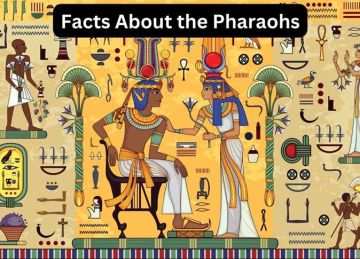 قبل افتتاح المتحف المصري الكبير.. الدايت الفرعوني يعود ليكشف سر رشاقة الفراعنة قبل افتتاح المتحف المصري الكبير.. الدايت الفرعوني يعود ليكشف سر رشاقة الفراعنة