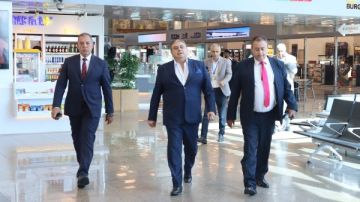 لجنة التفتيش الأمني تتفقد جاهزية مطار سفنكس لاستقبال وفود المتحف الكبير