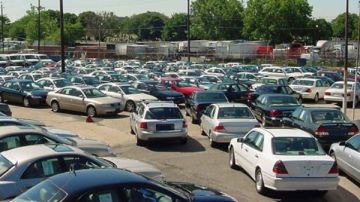 بجلسة مزاد اليوم .. 4.9 مليون جنيه حصيلة البيع لسيارات وبضائع جمارك مطار القاهرة بجلسة مزاد اليوم .. 4.9 مليون جنيه حصيلة البيع لسيارات وبضائع جمارك مطار القاهرة