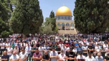 حشود مباركة.. 50 ألفا يؤدون صلاة الجمعة في المسجد الأقصى حشود مباركة.. 50 ألفا يؤدون صلاة الجمعة في المسجد الأقصى