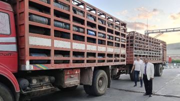 ضبط سيارة نقل محملة باسطوانات غاز منزلية بدمياط