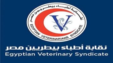 اليوم العالمى للرفق بالحيوان.. الأطباء البيطريين تدعو لنشر ثقافة الرحمة والتعايش السلمي مع الحيوانات