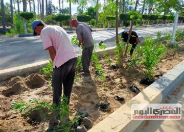 ضمن مبادرة 100 مليون شجرة .. توجيهات باستمرار إنشاء الحدائق العامة بمصيف بلطيم ضمن مبادرة 100 مليون شجرة .. توجيهات باستمرار إنشاء الحدائق العامة بمصيف بلطيم