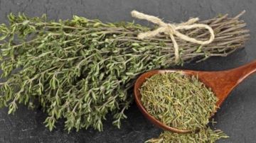 ماتكترش منه .. أضرار غير متوقعة للزعتر ماتكترش منه .. أضرار غير متوقعة للزعتر