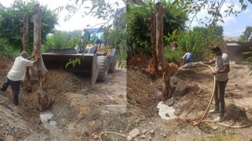 توسعات مرورية.. محافظة الإسكندرية ترد على شائعات قطع الأشجار بشارع أبوقير توسعات مرورية.. محافظة الإسكندرية ترد على شائعات قطع الأشجار بشارع أبوقير