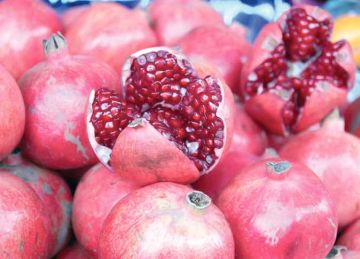  سلامة الغذاء : 515 إذن تصدير لحاصلات زراعية