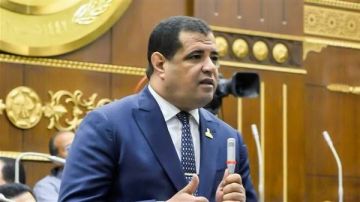 برلماني: لقاء الرئيس السيسي بالطفلة ريتاج تجسد عمق الوجدان المصري تجاه فلسطين برلماني: لقاء الرئيس السيسي بالطفلة ريتاج تجسد عمق الوجدان المصري تجاه فلسطين