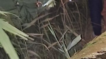 ننشر أسماء المصابين في حادث انقلاب ميني باص بالدقهلية