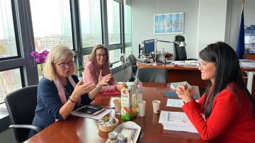 المشاط: السردية الوطنية تتضمن قائمة شاملة بالإصلاحات الهيكلية الجاري تنفيذها