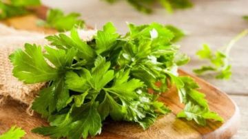 صديق المرأة.. البقدونس للوقاية من الأنيميا وتنقية البشرة