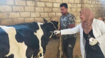 700 ألف رأس.. الغربية تتصدر المحافظات في عدد الحيوانات المحصنة