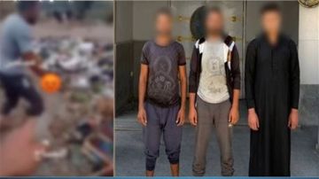 الأمن يكشف ملابسات فيديو تعدي بعض الأشخاص على كلب بالضرب في الدقهلية الأمن يكشف ملابسات فيديو تعدي بعض الأشخاص على كلب بالضرب في الدقهلية