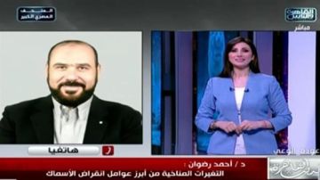 القومي لعلوم البحار : البحر الأحمر بيئة بحرية متفردة.. الصيد الجائر سبب انقراض الأسماك  القومي لعلوم البحار : البحر الأحمر بيئة بحرية متفردة.. الصيد الجائر سبب انقراض الأسماك