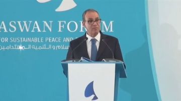 تجاوزت 9 مليارات دولار.. وزير الخارجية يكشف خسائر مصر خلال عام بسبب توترات البحر الأحمر