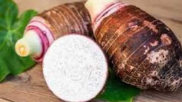 ماذا يحدث عند تناول القلقاس؟.. فوائد مذهلة ونصائح مهمة قبل الطهي ماذا يحدث عند تناول القلقاس؟.. فوائد مذهلة ونصائح مهمة قبل الطهي