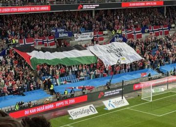  الحرية لـ غزة .. إيقاف مشجع نرويجي اقتحم الملعب لدعم فلسطين أمام إسرائيل (صورة)