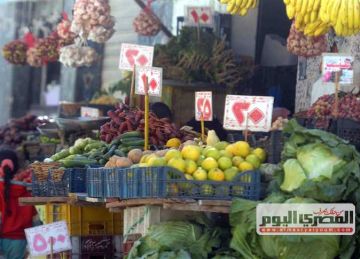 الكوسة بـ20 .. أسعار الخضار في أسواق الإسكندرية اليوم الخميس 23 أكتوبر 2025  الكوسة بـ20 .. أسعار الخضار في أسواق الإسكندرية اليوم الخميس 23 أكتوبر 2025