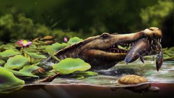 تمساح الوادي.. وزير التعليم العالي يهنئ جامعة المنصورة على اكتشاف عالمي جديد