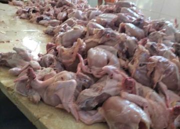 ضبط 15 طن دواجن ومنتجات دجاج غير صالحة للاستهلاك الآدمي في الشرقية (صور) ضبط 15 طن دواجن ومنتجات دجاج غير صالحة للاستهلاك الآدمي في الشرقية (صور)