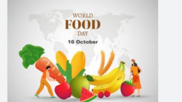 في اليوم العالمي للتغذية..تعرف على أهميتها للأطفال