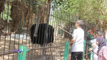 استيراد 186 فصيلا .. رحلة جديدة فى قلب حديقة الحيوان