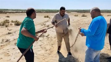 البيئة تعلن إزالة 18 ألف متر من الشباك المخالفة لحماية الطيور المهاجرة البيئة تعلن إزالة 18 ألف متر من الشباك المخالفة لحماية الطيور المهاجرة