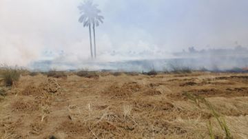 جهاز شؤون البيئة بالشرقية يحرر 65 محضر حرق قش أرز