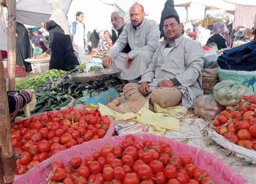 أسعار الطماطم والبطاطس والفاكهة في أسواق الشرقية اليوم الأحد 19 أكتوبر 2025