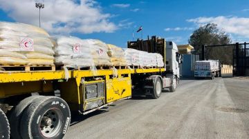 الهلال الأحمر المصري: زاد العزة الـ 53 تحمل 8500 طن مساعدات إلى الأشقاء الفلسطينيين صور