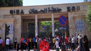 بعد التطوير التاريخي.. موعد افتتاح حديقة حيوان الجيزة بعد التطوير التاريخي.. موعد افتتاح حديقة حيوان الجيزة