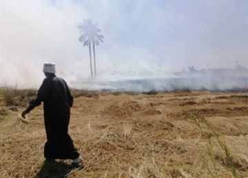 تحرير 189 محضر حرق قش أرز للمزارعين المخالفين في الشرقية تحرير 189 محضر حرق قش أرز للمزارعين المخالفين في الشرقية