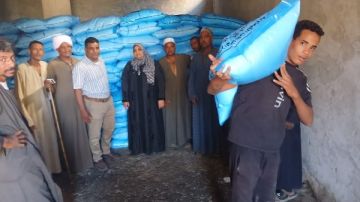 زراعة الأقصر تعلن صرف الأسمدة بالكامل لعدد من الجمعيات وتكثف متابعة الحقول والآفات