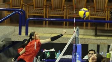 سيدات طائرة الأهلي يواجه المقاولون اليوم في افتتاح بطولة دوري المرتبط سيدات طائرة الأهلي يواجه المقاولون اليوم في افتتاح بطولة دوري المرتبط