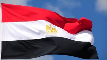 مصر.. رفع معارض بارز من قوائم الإرهاب مصر.. رفع معارض بارز من قوائم الإرهاب