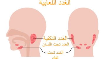 تحذير.. هؤلاء الأشخاص الأكثر عرضة لأورام الغدد اللعابية تحذير.. هؤلاء الأشخاص الأكثر عرضة لأورام الغدد اللعابية