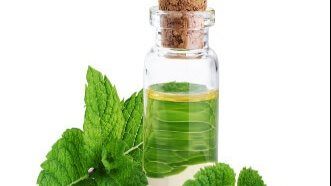 زيت النعناع الحل السحري الجيوب الأنفية زيت النعناع الحل السحري الجيوب الأنفية