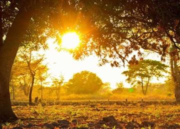 بيان مهم من الأرصاد بشأن حالة الطقس بمحافظات الصعيد غدا الجمعة 10 أكتوبر 2025